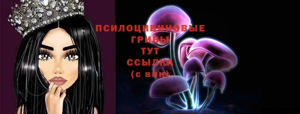 МДПВ Киренск