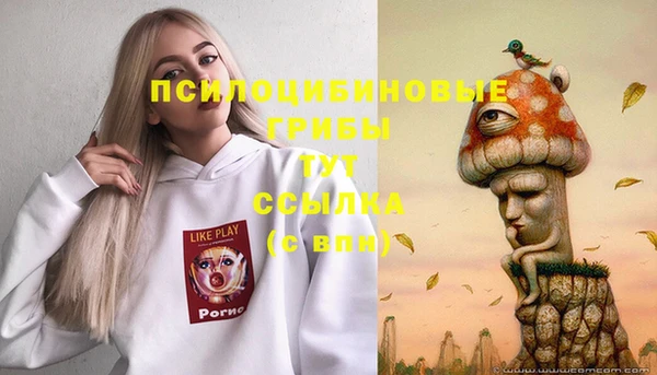 MDMA Киреевск
