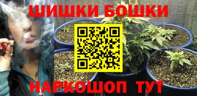 индика Жуковский