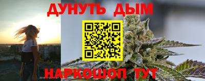 индика Жуковский