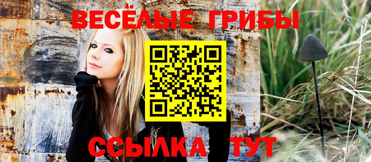 Галлюциногенные грибы мухоморы  Вход с VPN  Кулебаки 